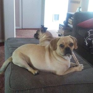 Meet your Posher, Jack